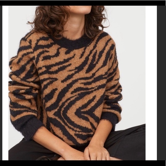 H&M Sweaters - H & M BROWN ANIMAL PRINT SWEATER